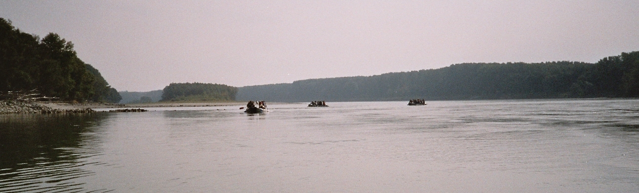 Auf der Donau 1